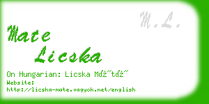 mate licska business card